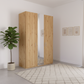 Wooden wardrobe with mirrored door in a room with a plant and framed pictures on the wall.
