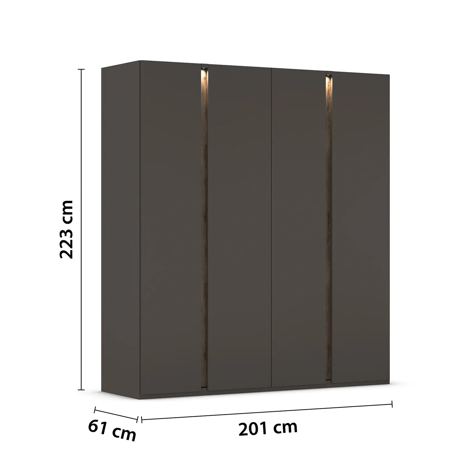 Dark gray wardrobe with dimensions indicated on a white background