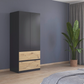 Rauch Cara Metallic Grey 2 Door Wardrobe with Drawers