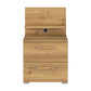 Rauch Eve wild oak 2 Drawer bedside table with panel
