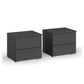 Rauch Novus 2 Drawer Beside Table in Graphite