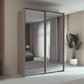 Rauch Taro 2 Door full mirror sliding wardrobe with Fango Carcase double mirrored doors with passepartout styled in a modern bedroom