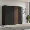 Rauch Black Large wardrobe with wooden accents and 2 Sliding Doors