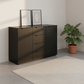 Rauch Heaven 4 Drawer 2 Door Décor Chest in Black styled in a modern room
