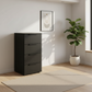Rauch Heaven 40cm 4 Drawer Décor Chest in Black styled in a modern room