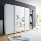 Modern wardrobe with sliding doors in a room with a rug and decor items.