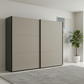 Modern sliding wardrobe door in a minimalistic room with a plant and abstract painting.