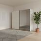 Modern wardrobe with mirror door in a minimalistic room with a plant and rug.